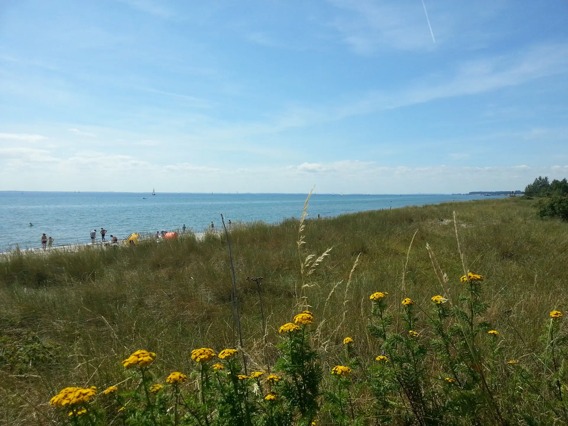 Ostseeküste mit Strand, Dünen und Meer aus der Bildergalerie der Eigentümerwebsite